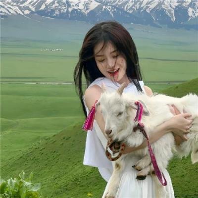 胜利的法庭式